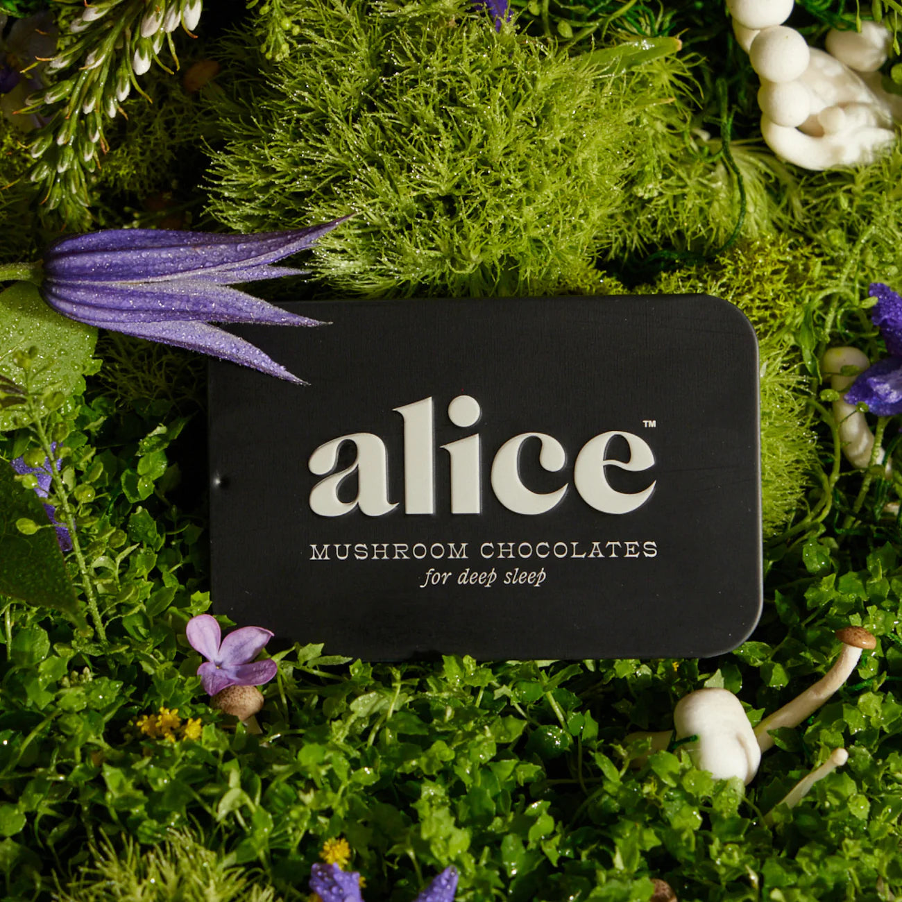 Alice Mushroom Chocolates - Nightcap, For Better Sleep