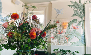 Our New Orleans Favorites: Shops, Eats, Music, Services, & more (+Pet Friendly & Female-Owned)