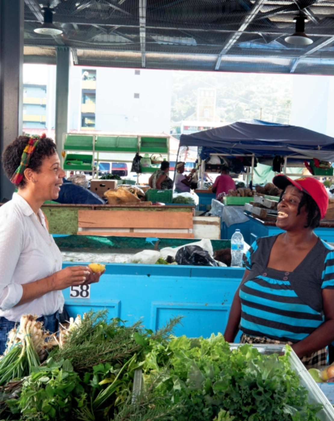 Kwéyòl / Creole Recipes, Stories, and Tings from a St. Lucian Chef's Journey: A Cookbook  By Nina Compton and Osayi Endolyn