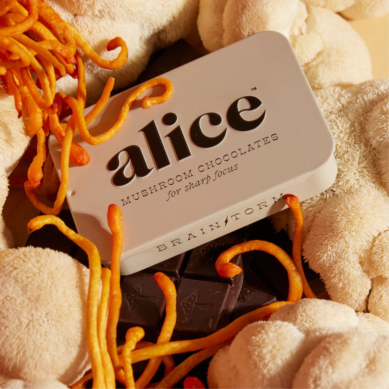 Alice Mushroom Chocolates - Brainstorm, For Improved Focus