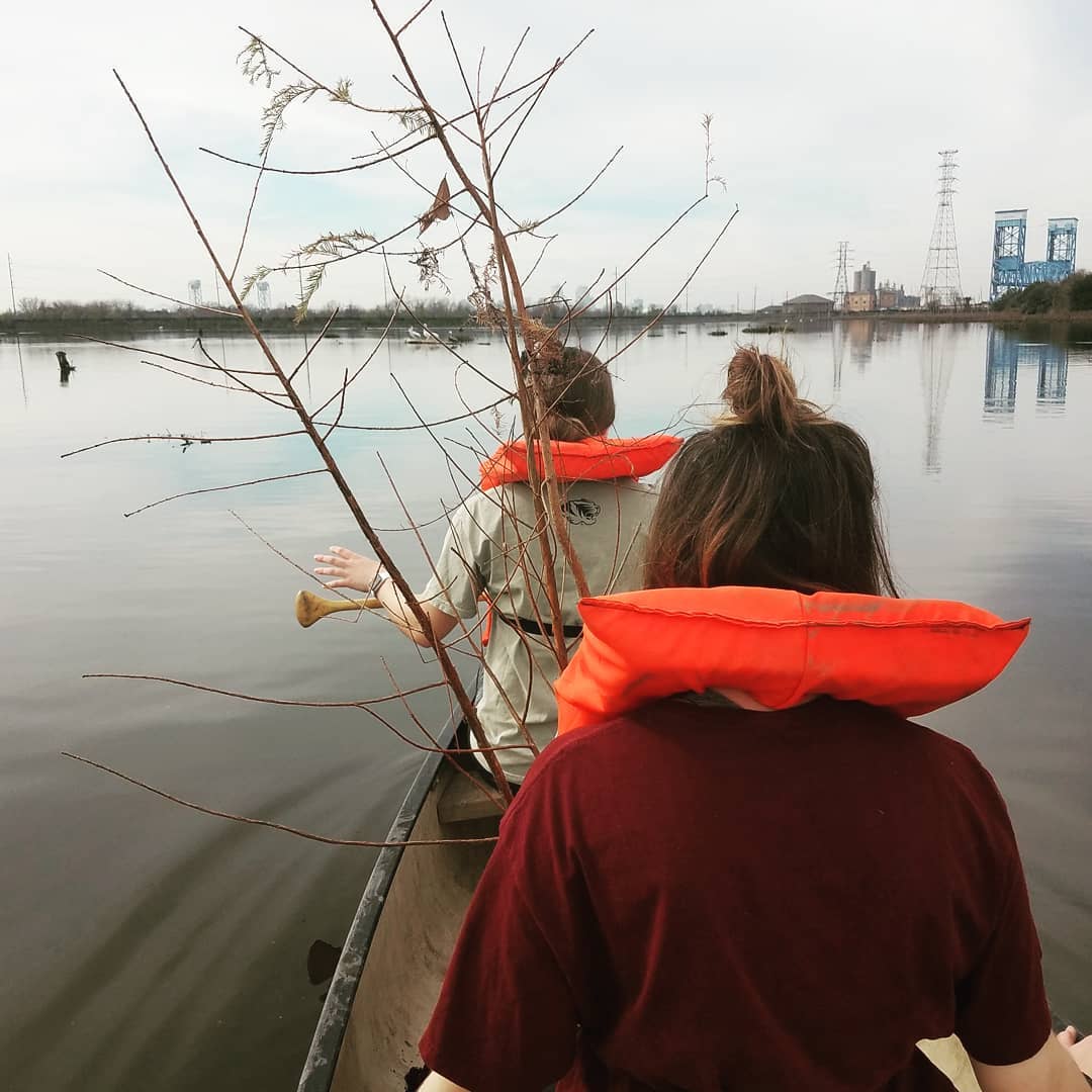 Climate Credits - Plant one bald cypress in S.E. LA wetlands