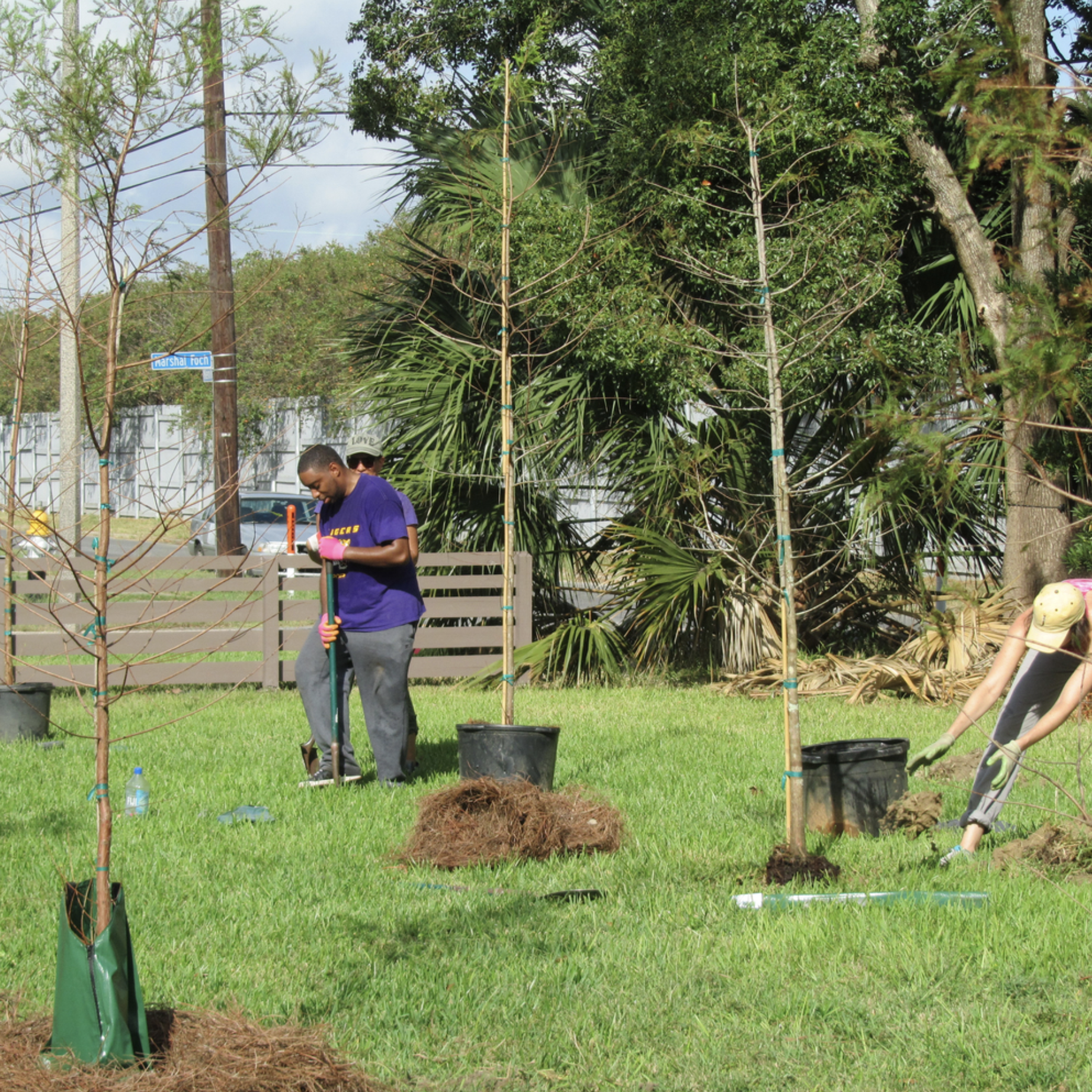 Climate Credits - Plant one native tree in a New Orleans neighborhood